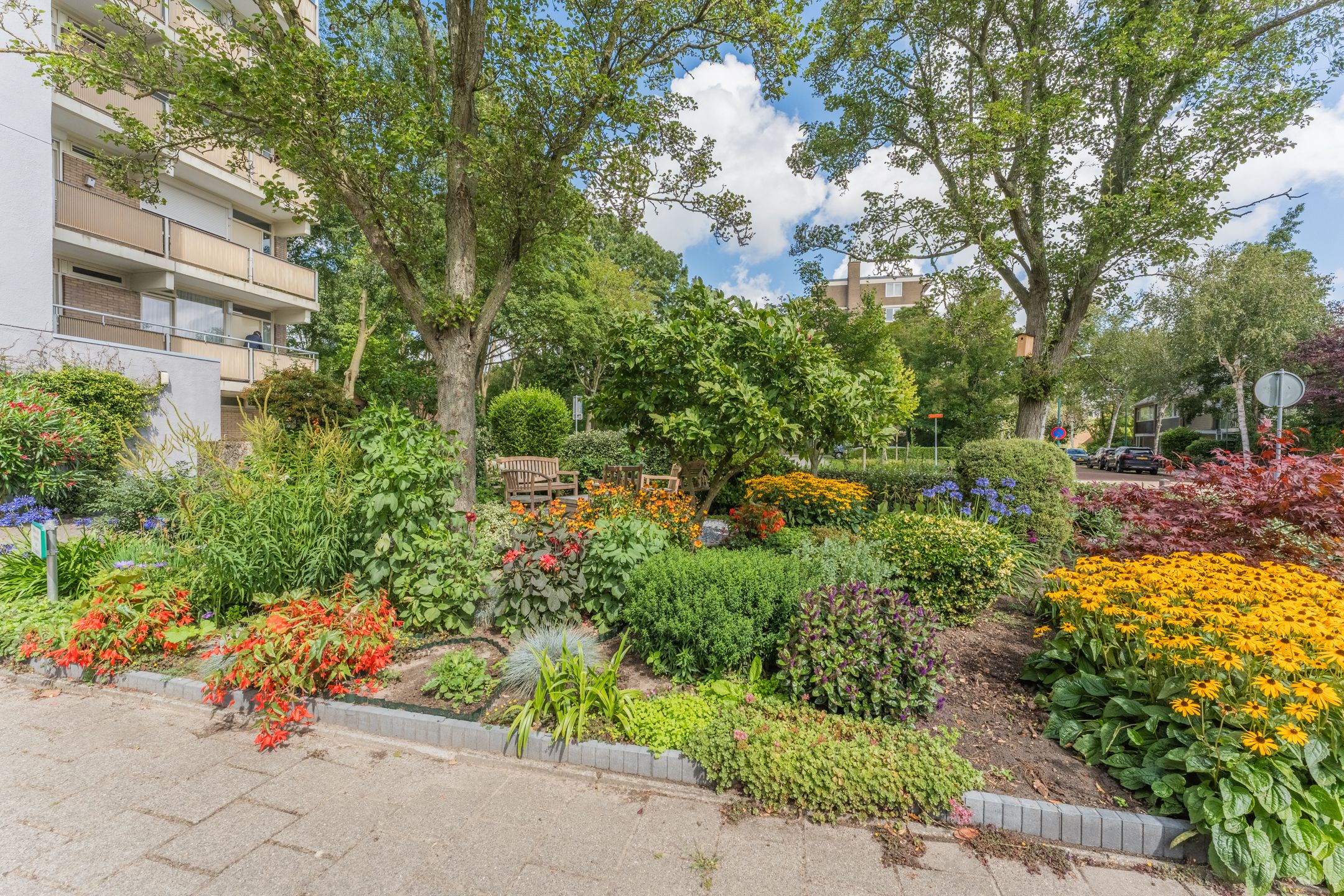 Photo 6 of Frans Halslaan 111