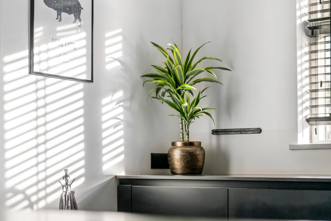 Foto 28 van Hoogstraat 8