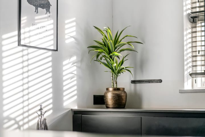 Foto 28 van Hoogstraat 8