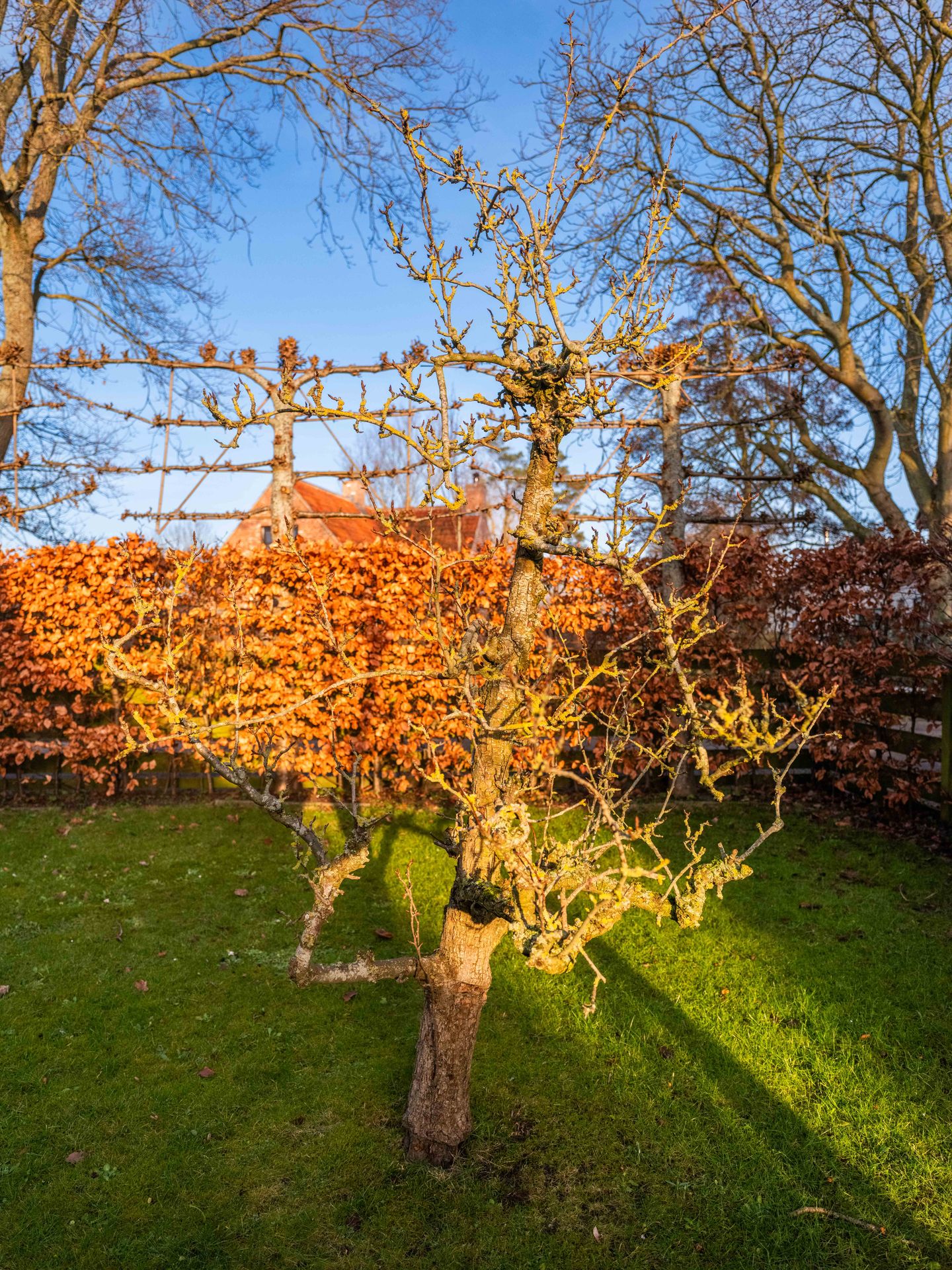 Foto 35 van Westerweg 71