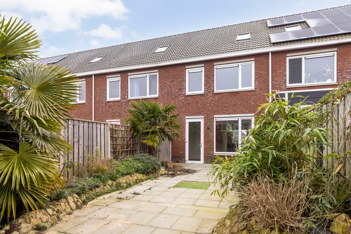 Foto 4 van Blauwe Schoe 6