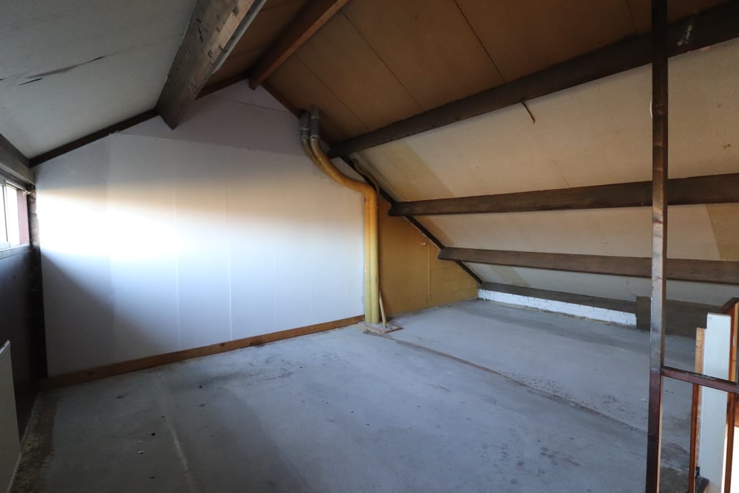 Foto 11 van Punter 49 55