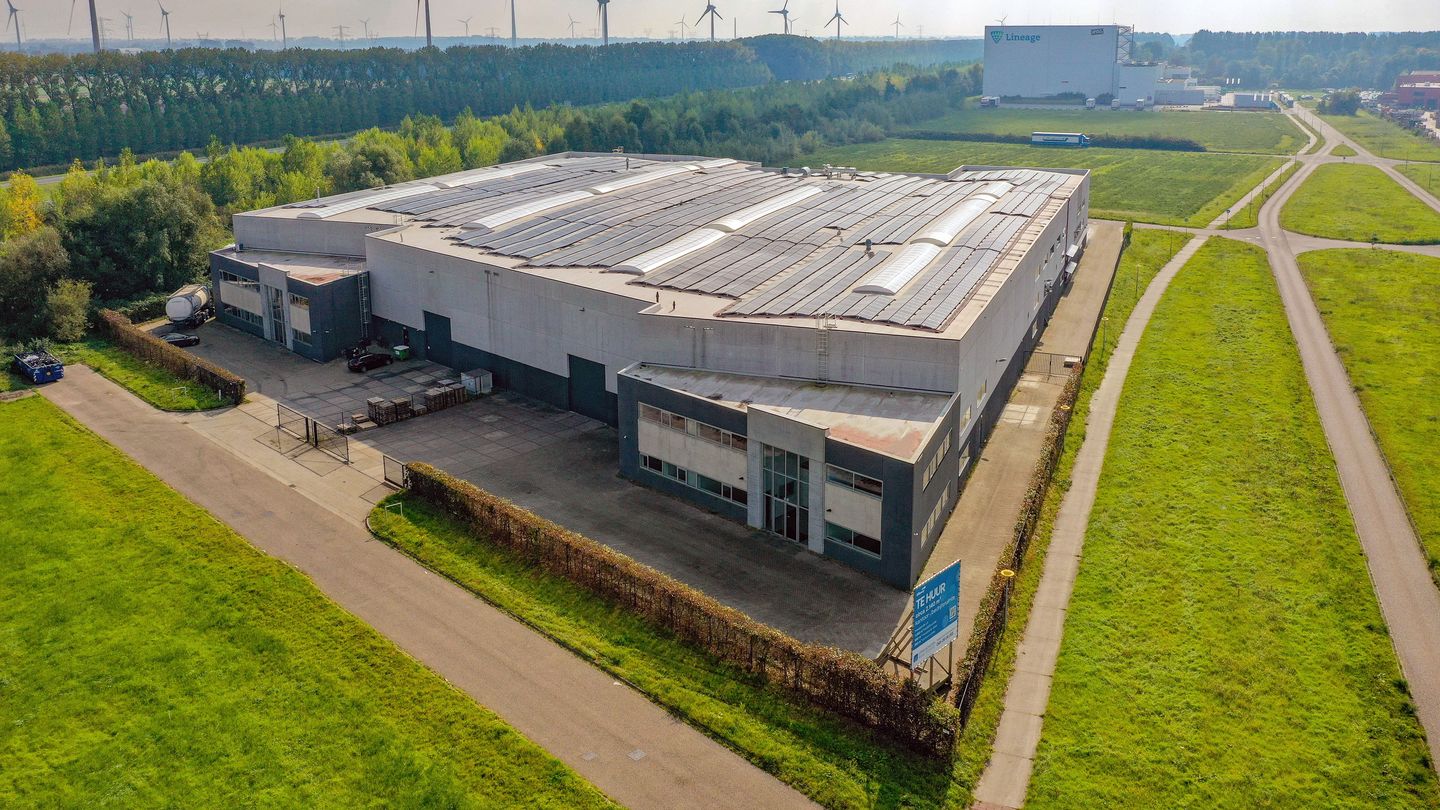 Bekijk foto 2 van De Serpeling 15