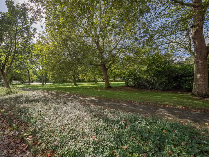 Foto 35 van Parklaan 18