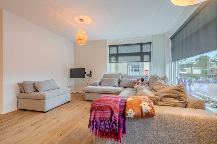 Foto 16 van Dassenwissel 16