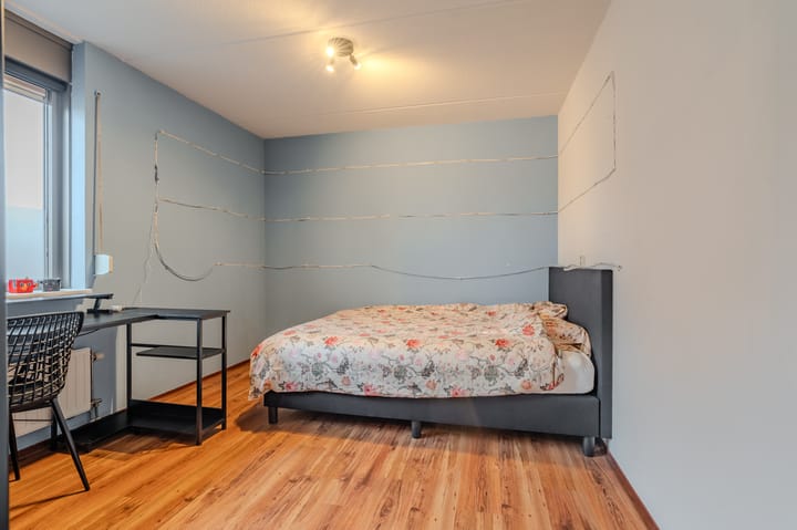 Foto 34 van Dassenwissel 16