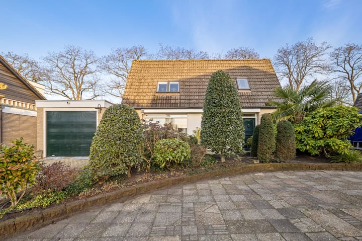 Foto 56 van Alexanderdonk 49