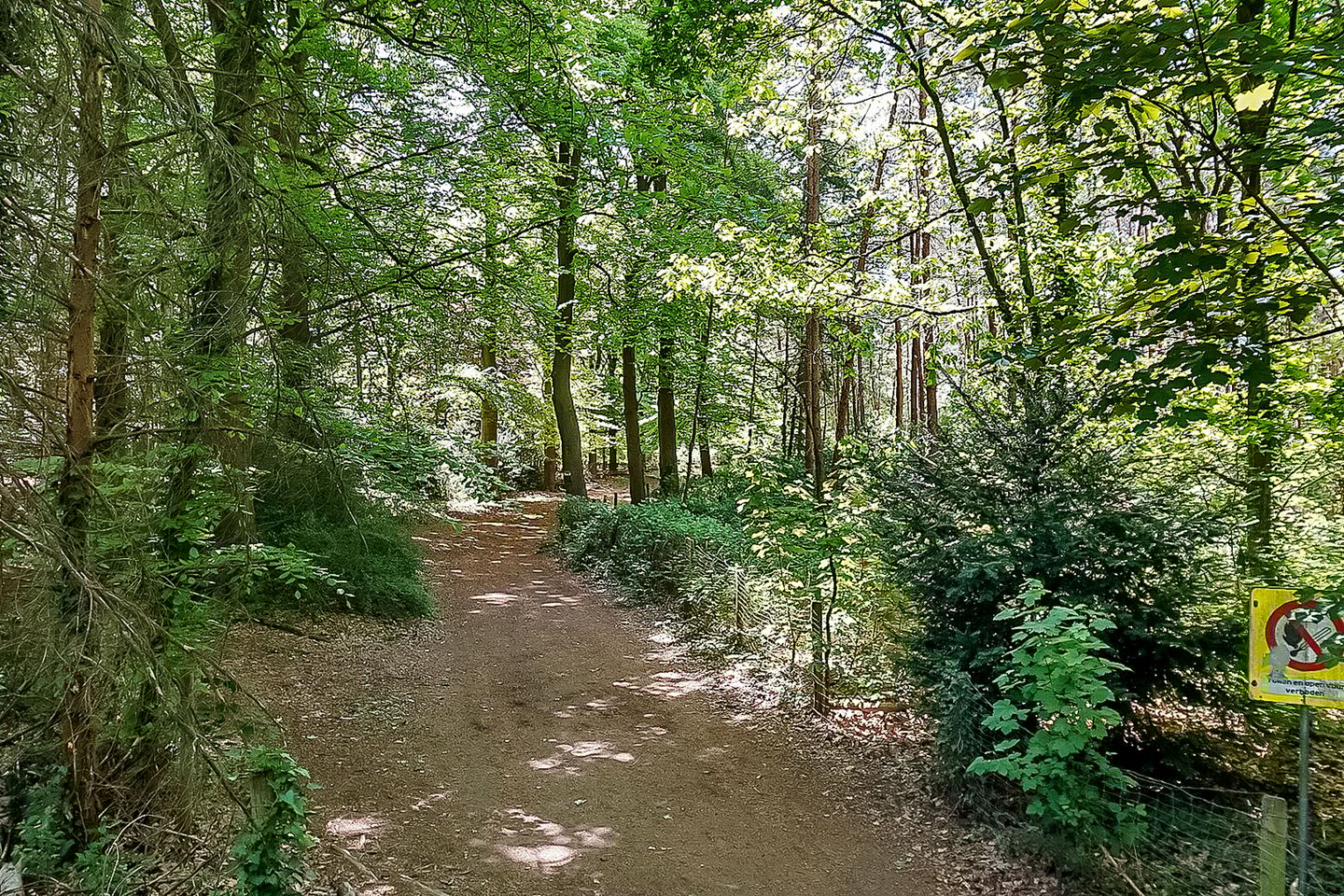 Foto 29 van Waterhoenlaan 47