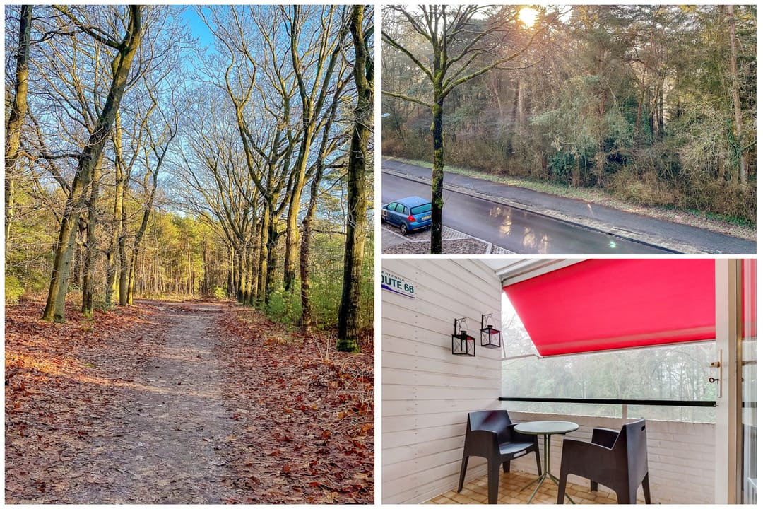 Foto 31 van Waterhoenlaan 47