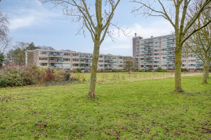 Foto 35 van Apollolaan 724