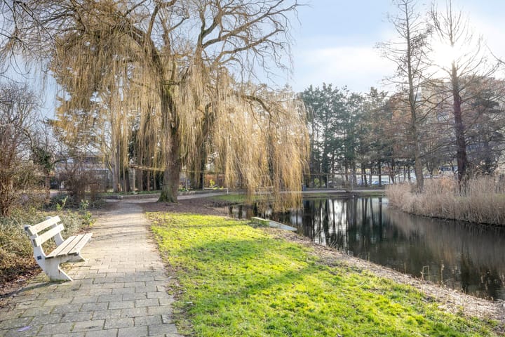 Foto 42 van De Goejestraat 36