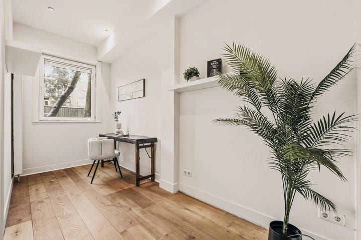 Foto 13 van Rustenburgerstraat 370-H