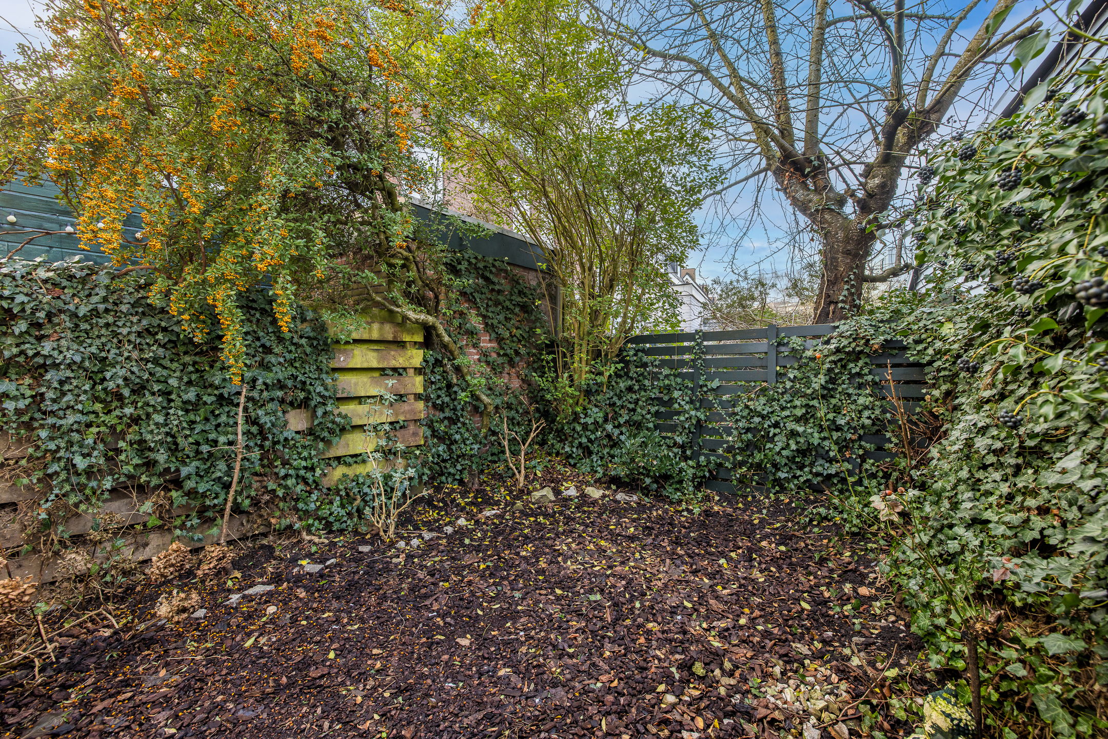 Foto 12 van Hogelanden W.Z. 15