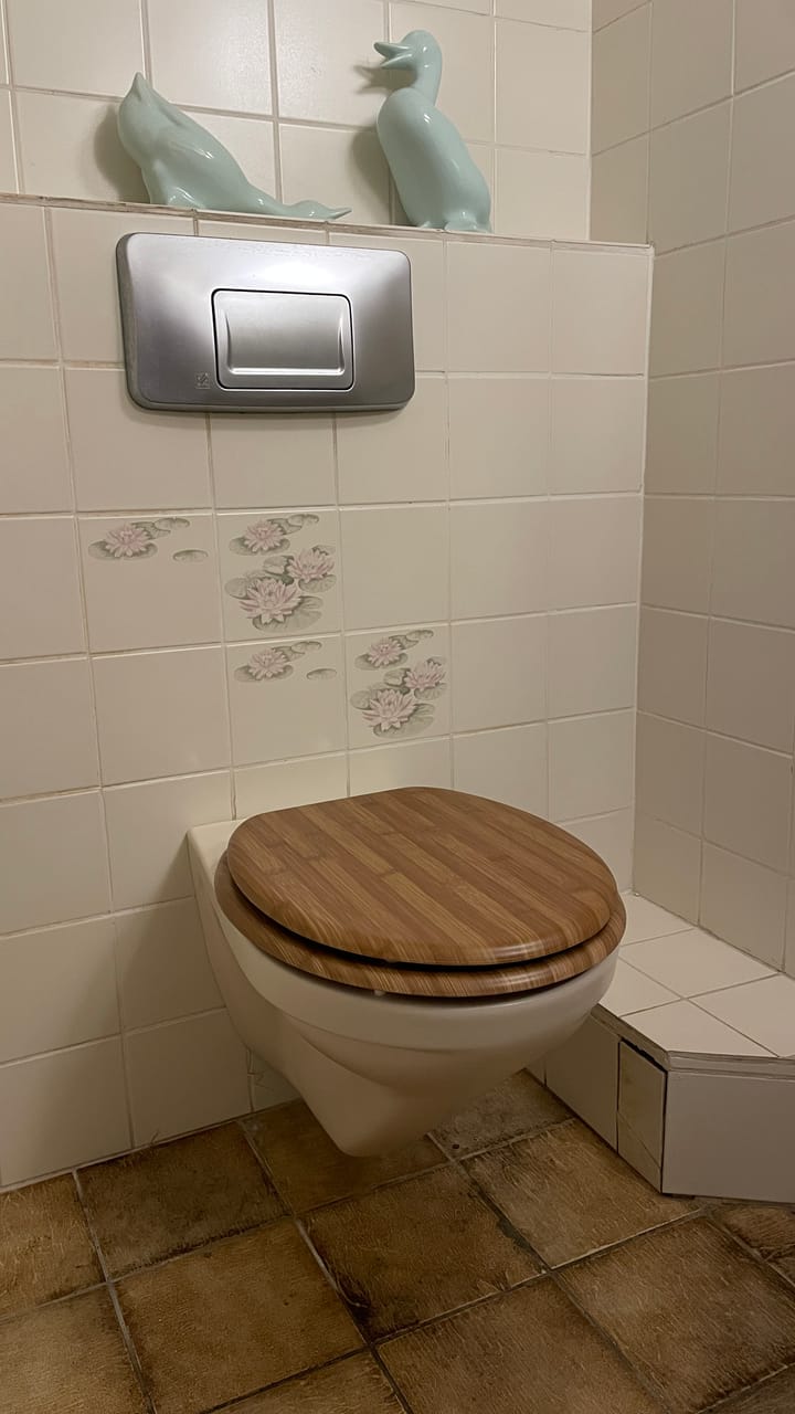 Foto 13 van Beatrixstraat 8