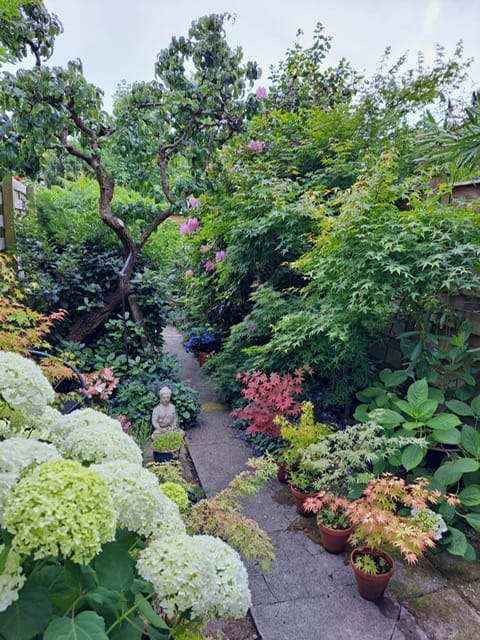 Foto 16 van Prins Mauritslaan 156