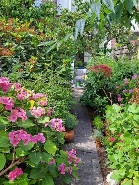 Foto 17 van Prins Mauritslaan 156