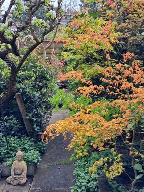 Foto 18 van Prins Mauritslaan 156