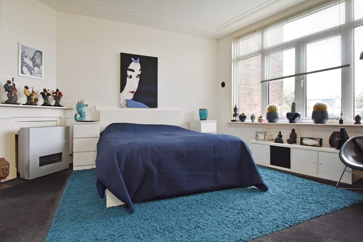 Foto 24 van Prins Mauritslaan 156