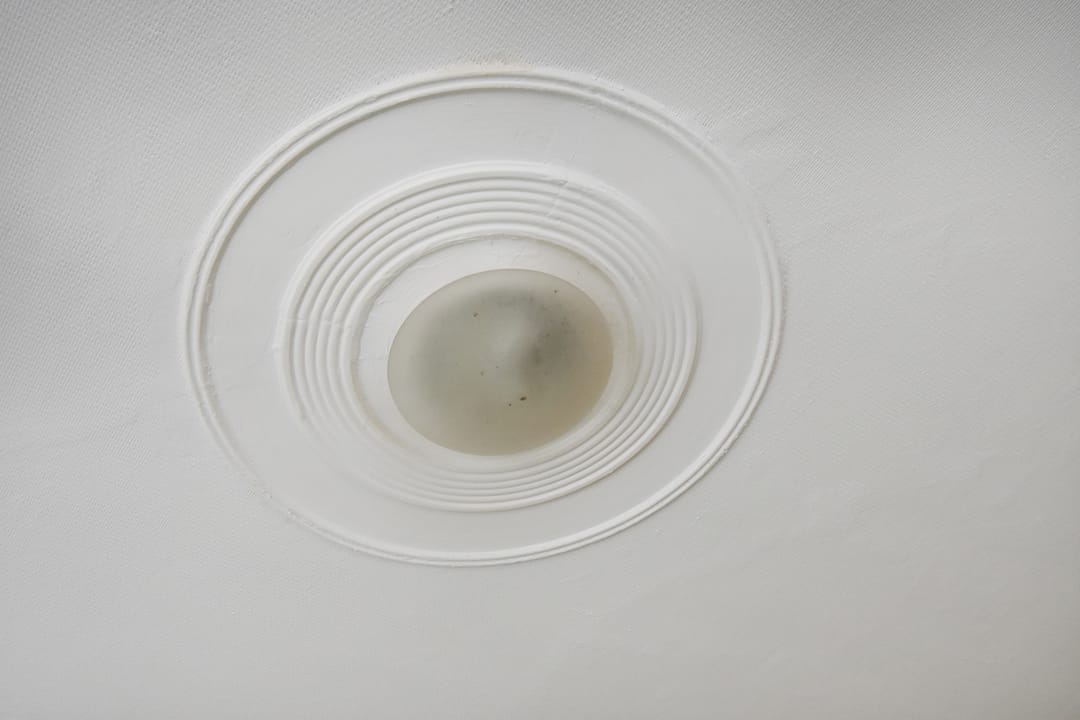 Foto 32 van Prins Mauritslaan 156