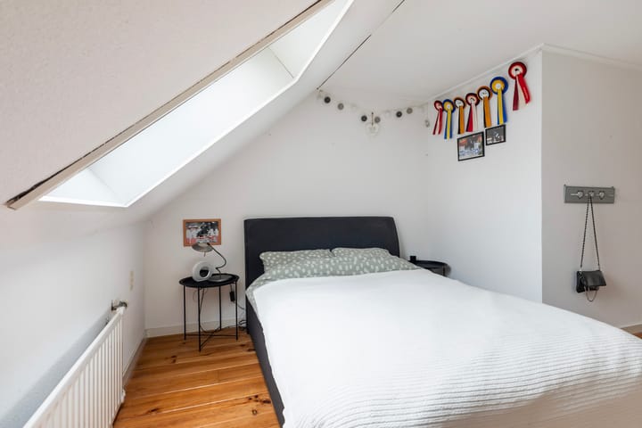 Foto 27 van Orxmasingel 132