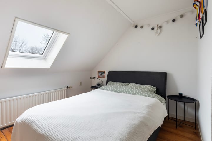 Foto 28 van Orxmasingel 132