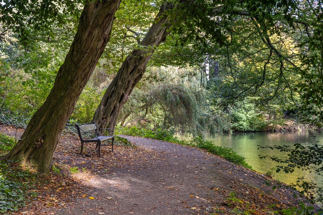 Foto 46 van Adriaan Mulderstraat 45