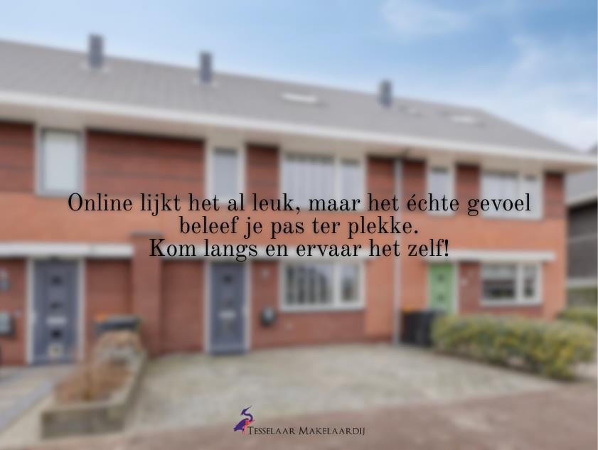 Foto 43 van Jasmijn 19