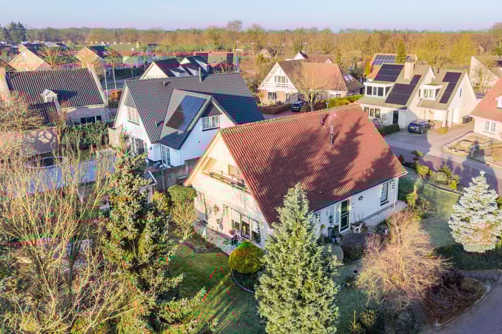 Havikskruid 13 main image