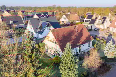 Havikskruid thumbnail