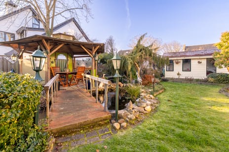 Havikskruid 13 tertiary image