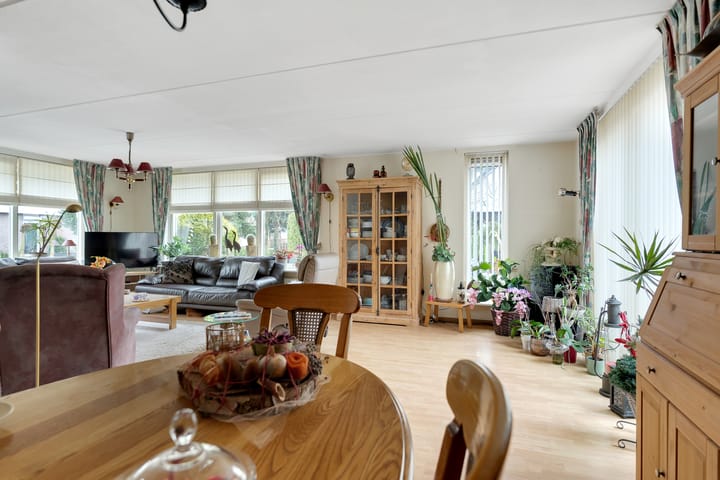 Foto 5 van Havikskruid 13