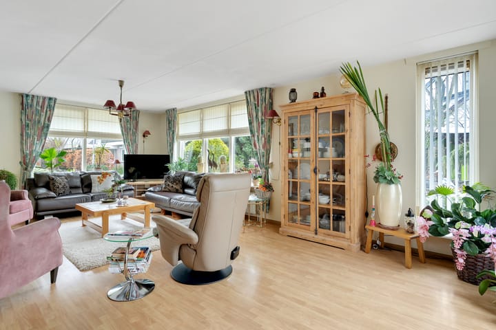 Foto 6 van Havikskruid 13