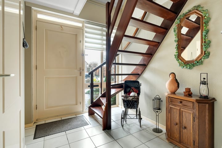 Foto 13 van Havikskruid 13