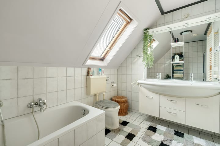 Foto 17 van Havikskruid 13