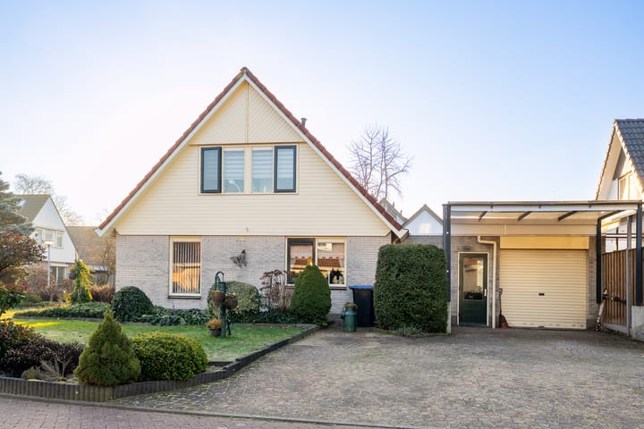 Foto 20 van Havikskruid 13