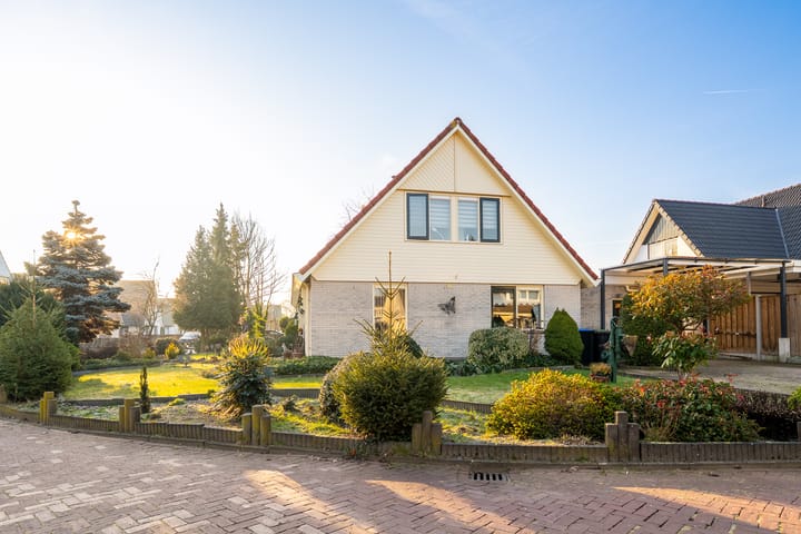 Foto 21 van Havikskruid 13