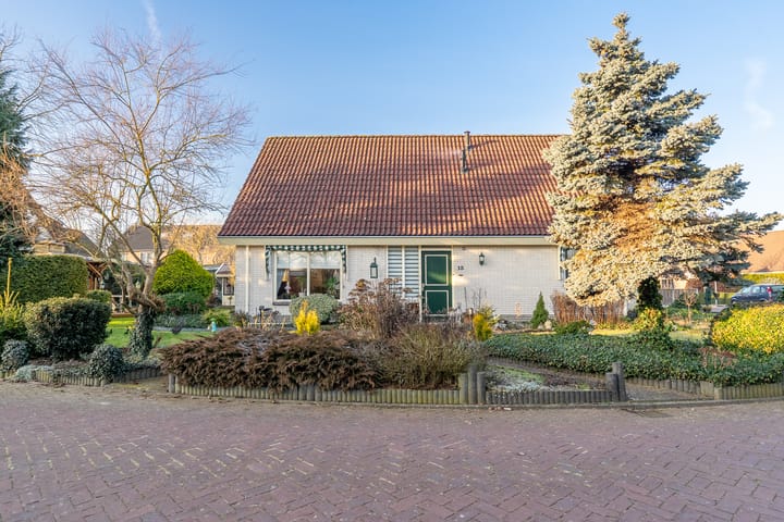 Foto 24 van Havikskruid 13