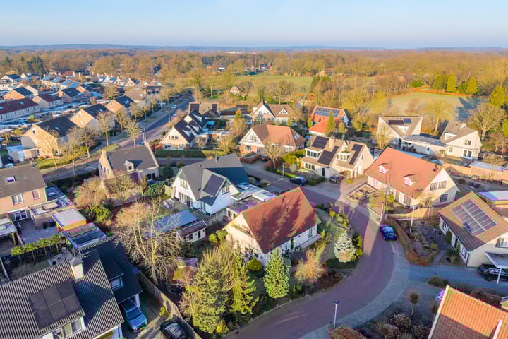 Foto 27 van Havikskruid 13