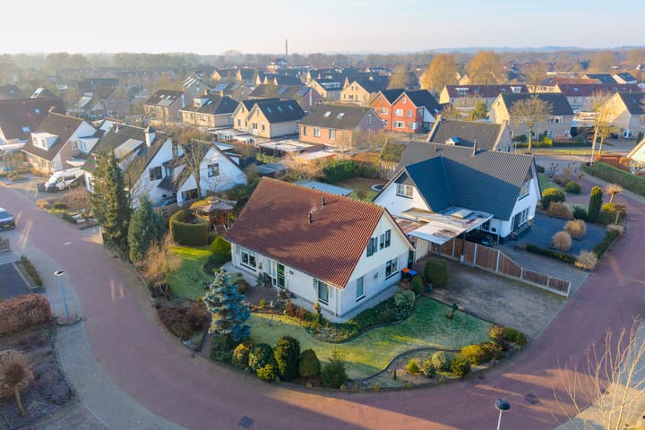 Foto 28 van Havikskruid 13