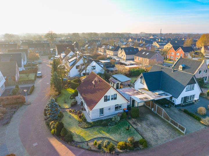 Foto 29 van Havikskruid 13