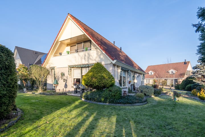 Foto 2 van Havikskruid 13