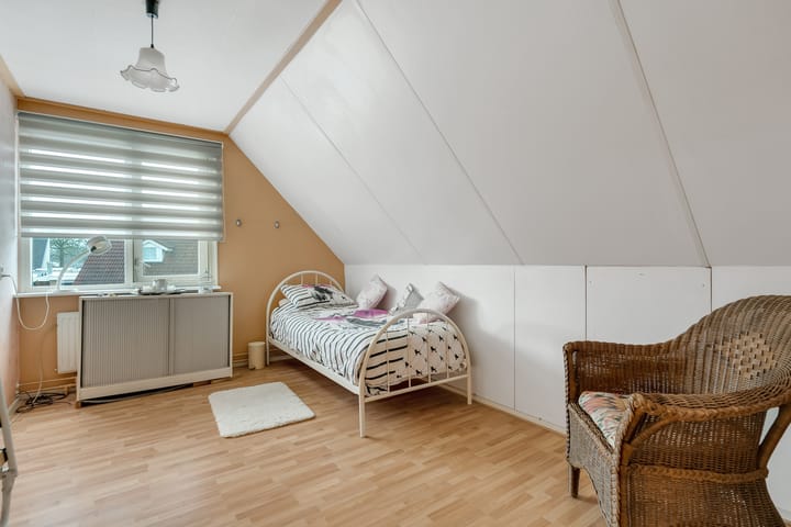 Foto 14 van Havikskruid 13