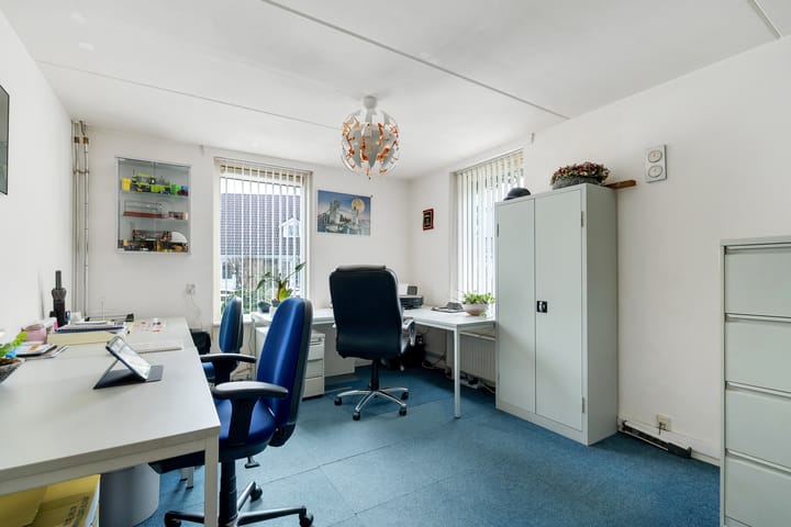 Foto 12 van Havikskruid 13