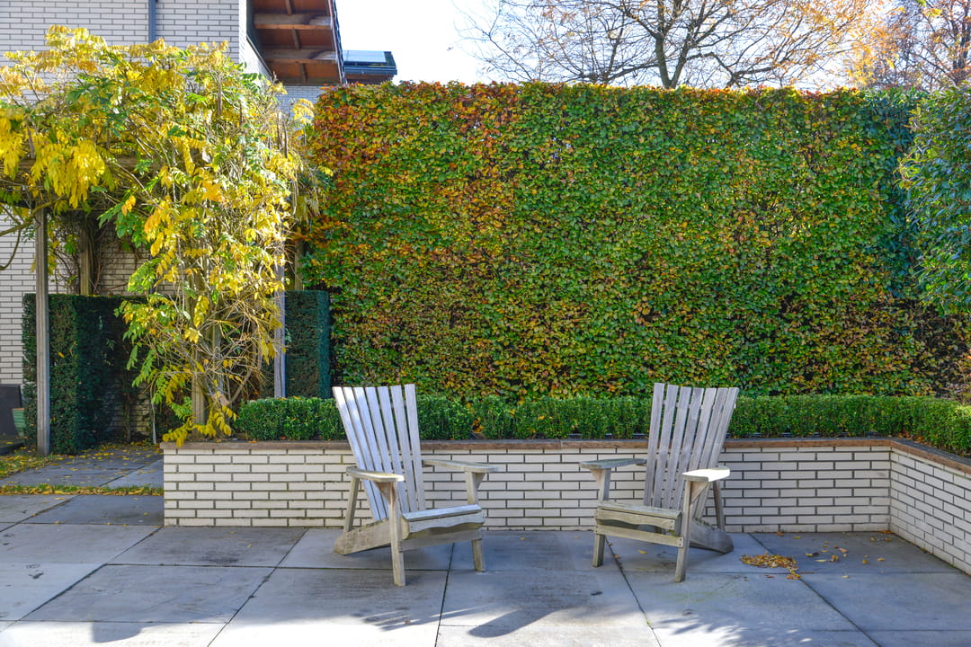 Photo 37 of Erasmuslaan 13