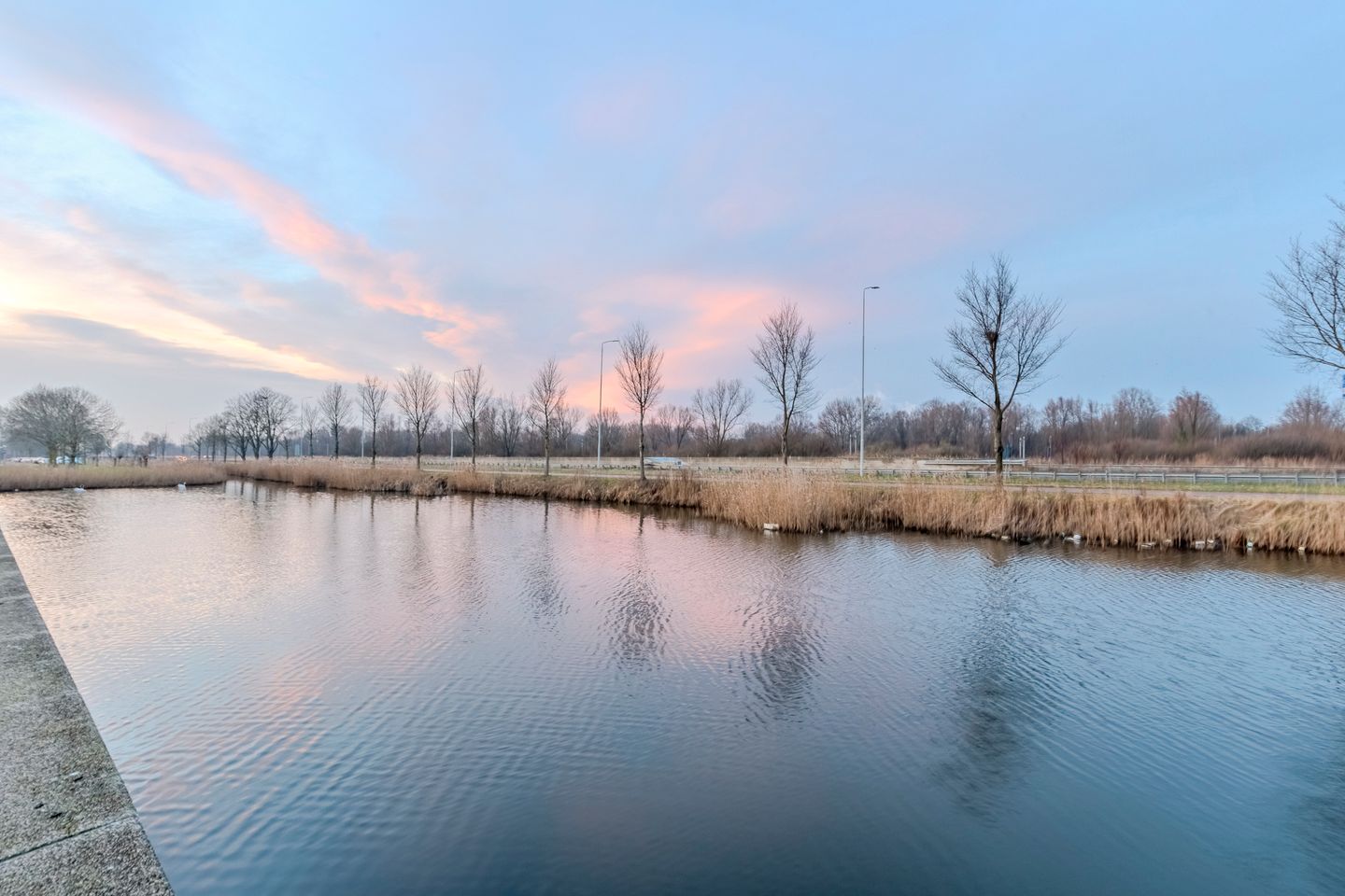 Foto 5 van Pieter Postsingel 203