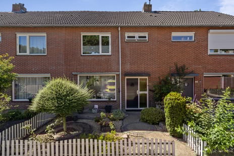 undefined main image