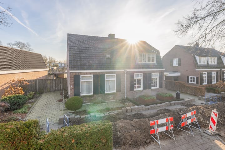 Foto 5 van Schutsboom 16