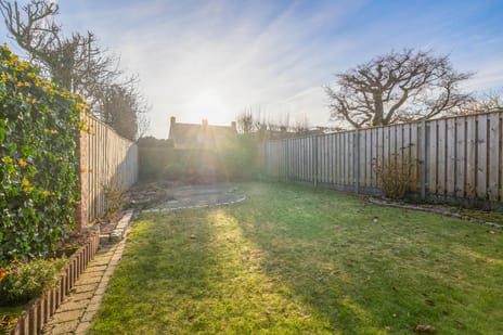 Schutsboom 16 secondary image