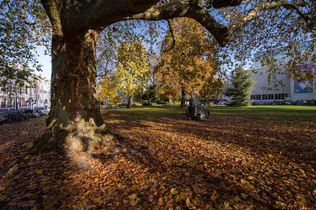 Foto 58 van Lucasbolwerk 2-A