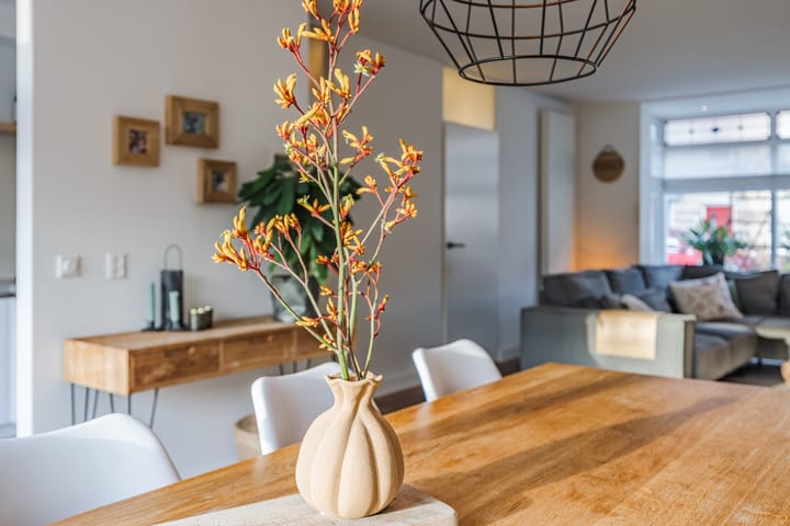 Foto 13 van Den Dries 4